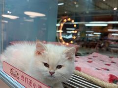 -FAELING PETS美天灵宠物(合生汇店)