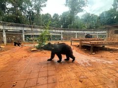 -昆明动物园