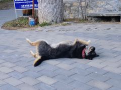 -阳台山自然风景区