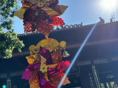 -深圳仙湖植物园