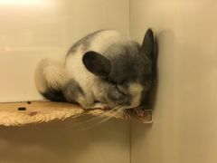 -龙猫仔乐园(惠福东路店)