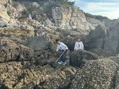 -养马岛旅游度假区