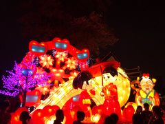 -映月湖公园