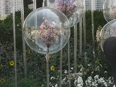 -海心沙亚运公园