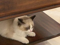 -杭州平安悦坊 PAFC LIVING