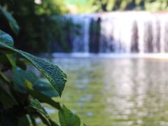 -四洞沟景区