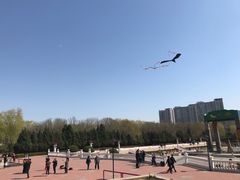 游乐设施-朝阳公园