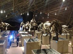 -世界恐龙谷景区