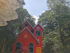 -南丹山森林王国