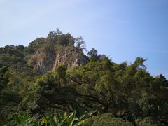 -广州市石门国家森林公园