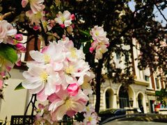-天津五大道文化旅游区