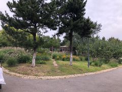 -莫子山公园