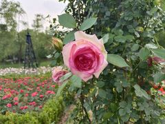 -武汉园博园(武汉自然博物馆)