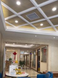 -碧莲盛·不剃发植发