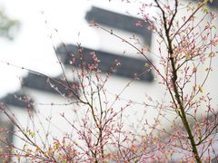 -黎里古镇