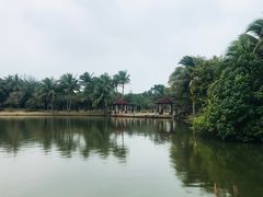 -白沙门生态公园