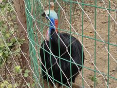 -济南野生动物世界