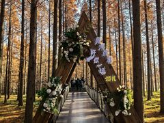 -黄海国家森林公园