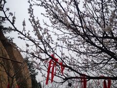 -北京凤凰岭