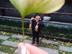 -宁波五龙潭景区