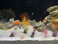 点击看大图 -Zoolung Zoolung动物主题公园(海信广场店)