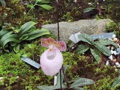 -国家植物园南园