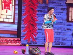 演出-南风大剧院莎梦二人转剧场