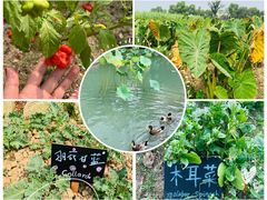 -乌村