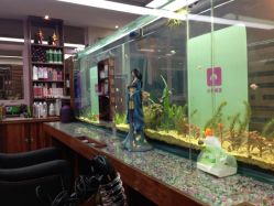 点击看大图 iphone_upload_pic-小左美发
