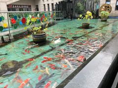 -陕西自然博物馆