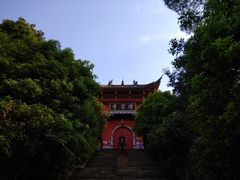 -铁山坪森林公园