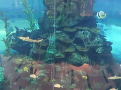 -鸿通城购物中心