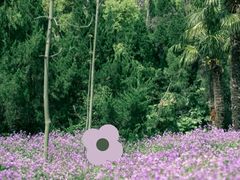 -上海滨江森林公园