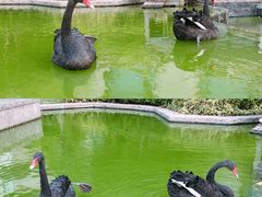 -行者书屋大堂吧 ·下午茶(南京圣和府邸酒店)