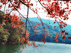 -广州市白云山风景名胜区
