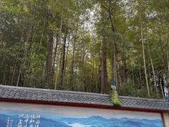-翠屏湖景区
