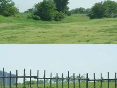 -渭河城市绿地运动公园