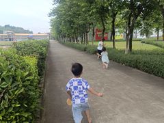 -火炉山森林公园