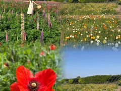 -汉长安城未央宫国家考古遗址公园