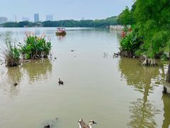 -海珠湖公园