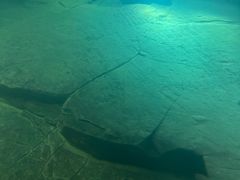 -白鹤梁水下博物馆