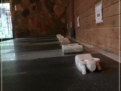 -西安国际创新人才交流中心•药浴温泉