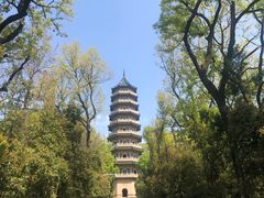 -灵谷景区