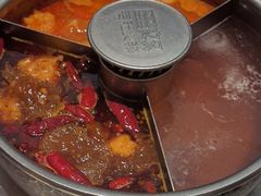 牛油辣-巴奴毛肚火锅(二七万达店)