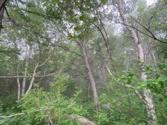 -野三坡百草畔景区