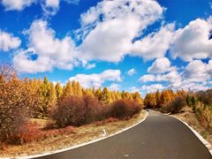 -塞罕坝国家级自然保护区