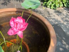 -李叔同故居纪念馆