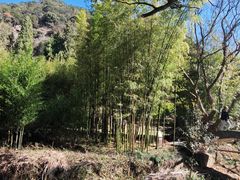 -黄公望隐居地