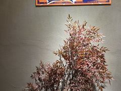 -567·密室逃脱(大良店)