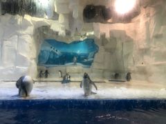 -华夏文旅海洋公园